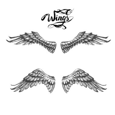 Melek kanatları, çizim vektör yazı,