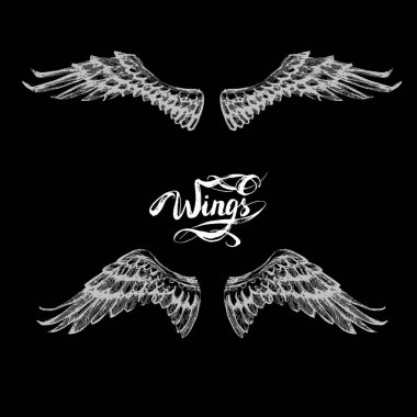 Melek kanatları, çizim vektör yazı,