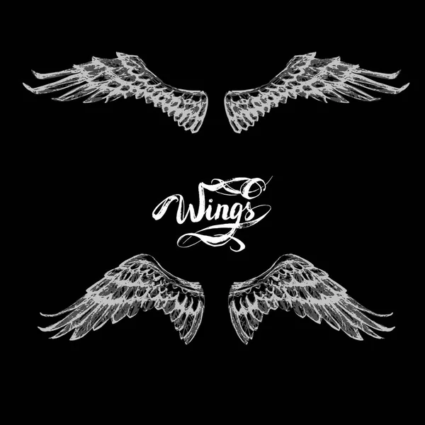 Angel Wings Lettering Drawing Vector — Stock Vector