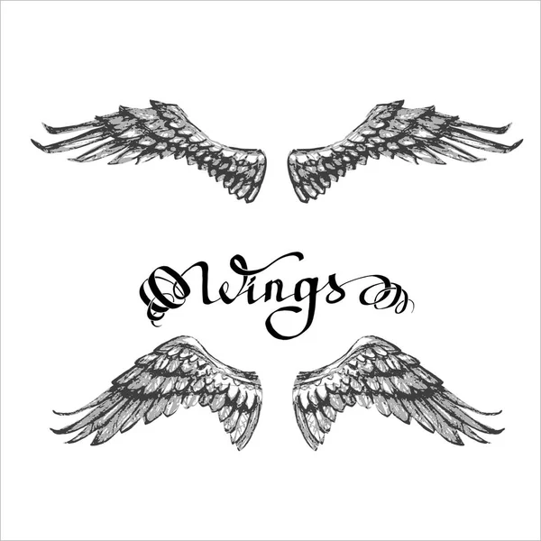 天使的翅膀 绘制矢量 — 图库矢量图片