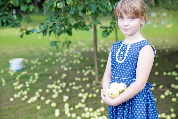 Roztomilá dívka v šatech, držící jablka v zahradě — Stock fotografie