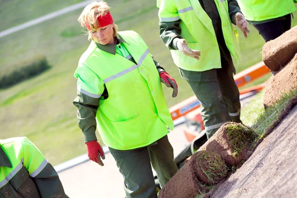 Landscapers Εργαζομένων Τοποθέτηση Χλοοτάπητα Έλασης Χλοοτάπητα Για Νέο Χορτοτάπητα Για — Φωτογραφία Αρχείου