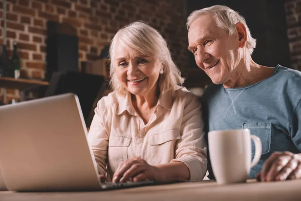 Senioren-Paar benutzt Laptop — Stockfoto