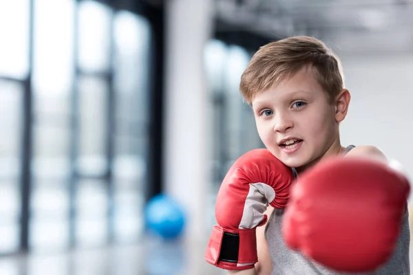 Boy boxer in red boxing gloves — Stock Photo