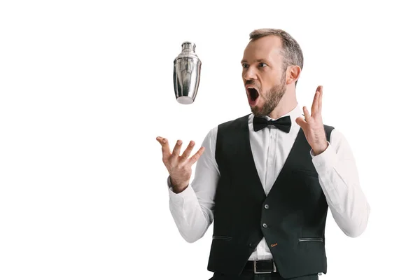 Handsome bartender with shaker — Stock Photo