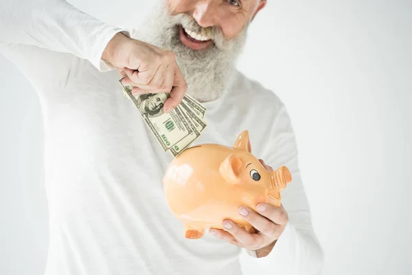 Mann mit Dollars und Sparschwein — Stockfoto