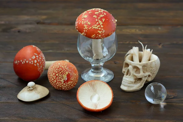 Still life with a skull and fly agaric — Stock Photo, Image