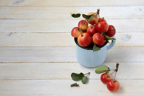 Pommes sauvages dans une tasse en émail — Photo
