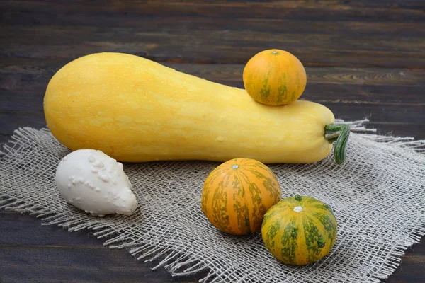 Bodegón con calabazas decorativas — Foto de Stock