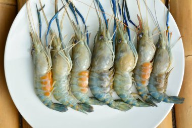 Ahşap üzerine beyaz bir plaka üzerinde taze karides doğa hafif masa