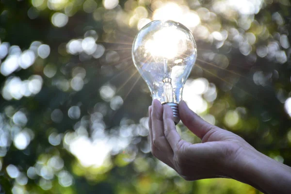 Mano de la persona que sostiene la bombilla para la idea o el éxito o solar e — Foto de Stock