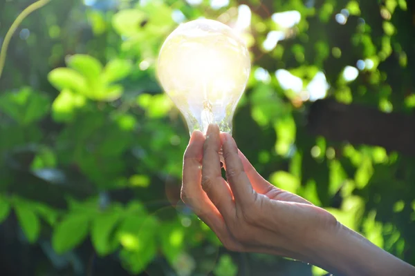 아이디어 또는 성공 또는 태양 전자에 대 한 전구를 들고 사람의 손 — 스톡 사진