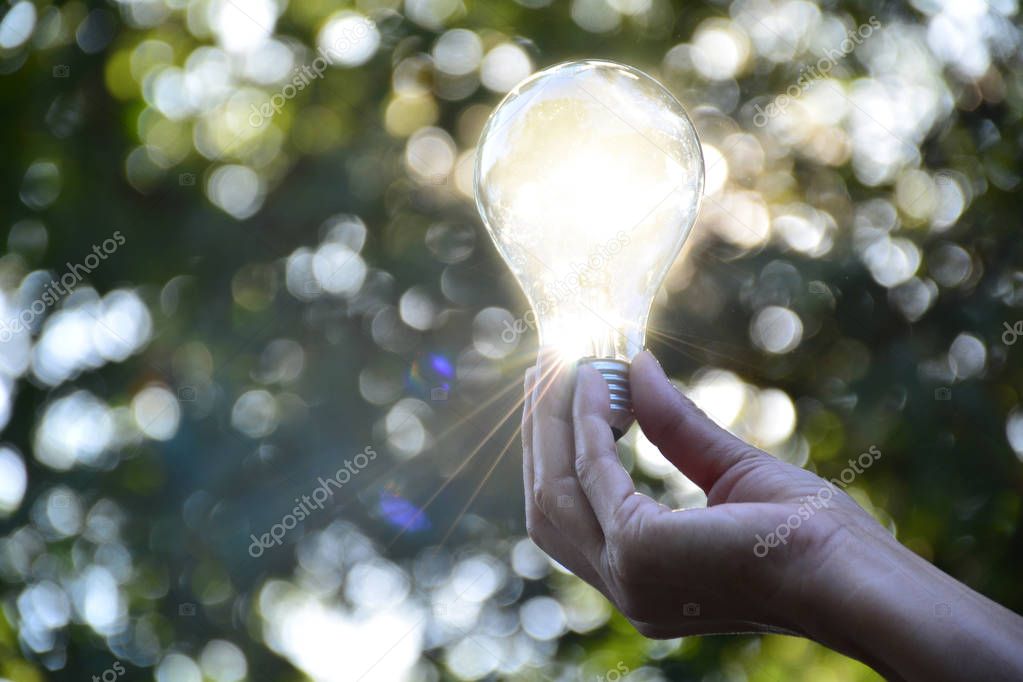 Hand of person holding light bulb for idea or success or solar e