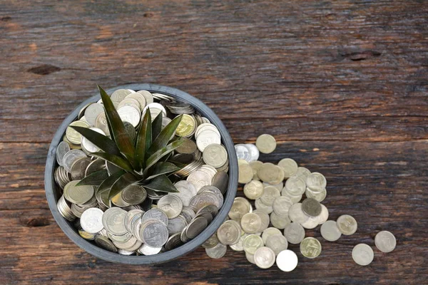 Finanças, sucesso, crescimento, pilha de moeda e vaso de flores colocar em latido — Fotografia de Stock