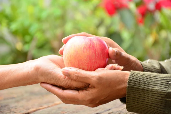 Женщина давая яблоко старушке для хорошего здоровья — стоковое фото