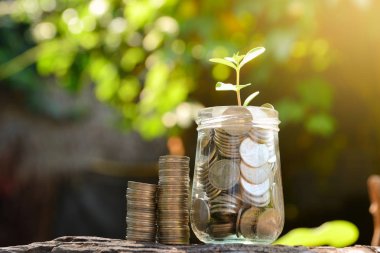 Büyüyen iş ve bitki u yığın para ile para kazanmak