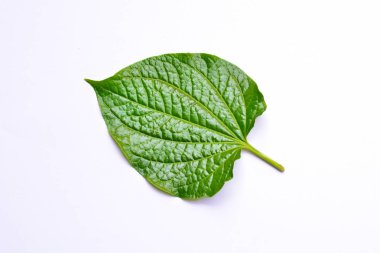 beyaz zemin üzerinde bir yaprak yeşil izole 
