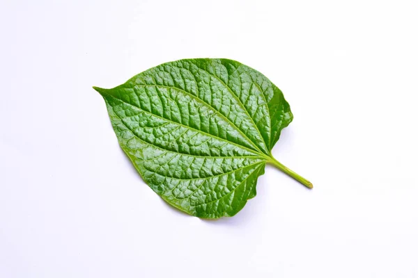 Das eine grüne Blatt auf weißem Hintergrund isolieren — Stockfoto