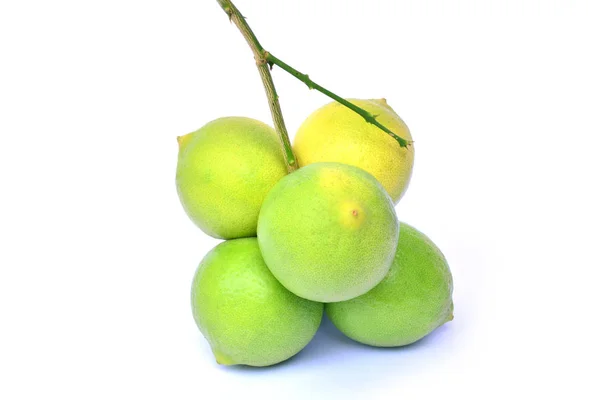 Green lemons om white background isolate — Stock Photo, Image