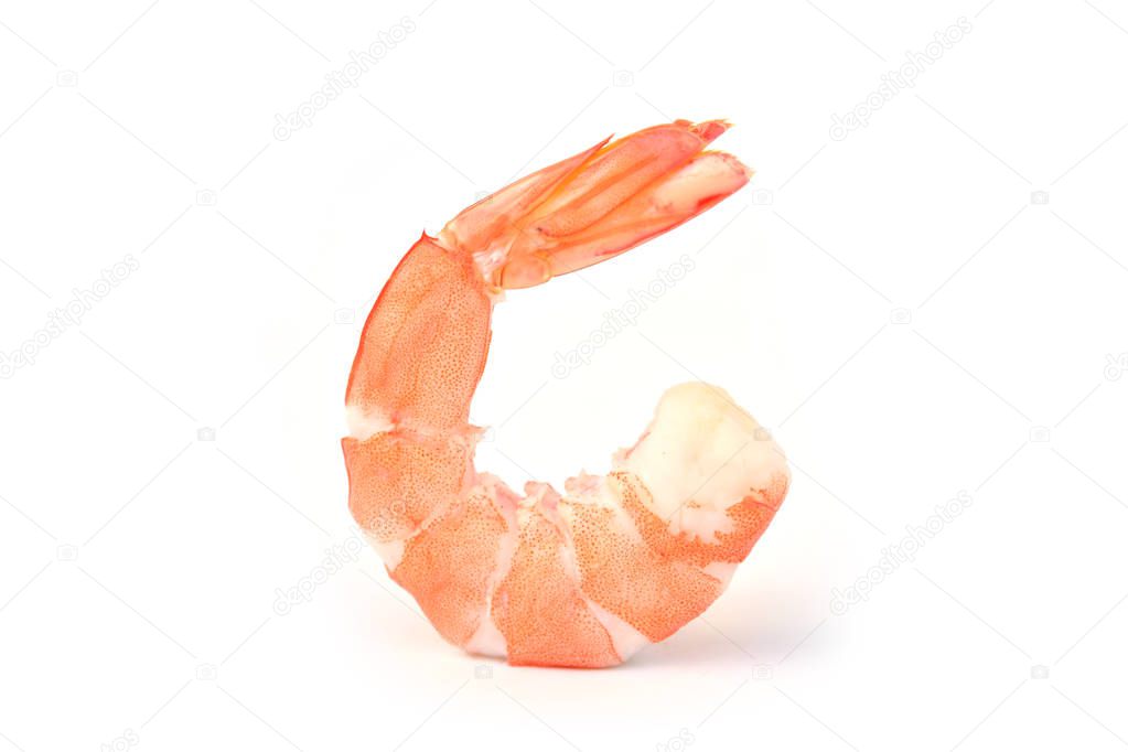 orange shrimps isolated on a white background