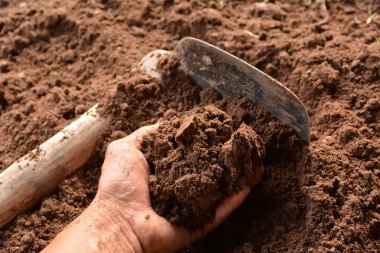 Elinde çapa ile dikim için toprak holding adam.
