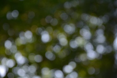 glitter bokeh ışıklar bokeh doğa arka plan ile defocused.