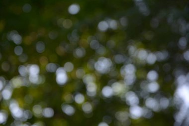 glitter bokeh ışıklar bokeh doğa arka plan ile defocused.