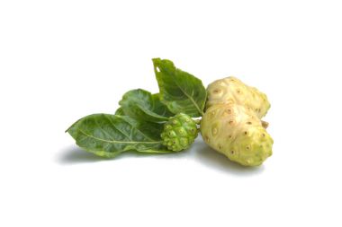 Noni meyve sağlık ve bitki sağlığı beyaz arkasında izole için
