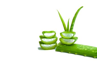 Aloe aloe ile izole üzerinde beyaz arka plan dilimlenmiş.