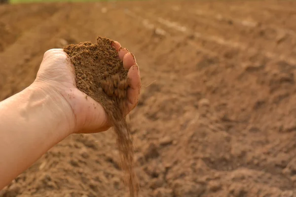 Bodem in hand gecultiveerd vuil. aarde of grond met natuur-backg — Stockfoto