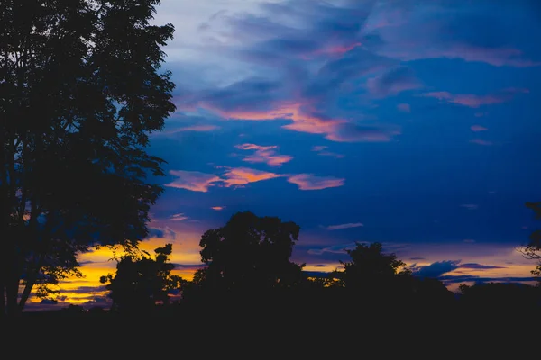 Arbres sur ciel nuageux avec fond de soirée style silhouette. — Photo