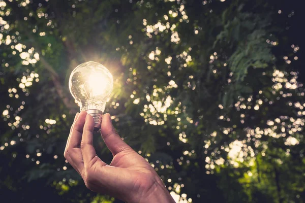 Ruka člověka drží žárovku za nápad nebo úspěch nebo solární energie — Stock fotografie