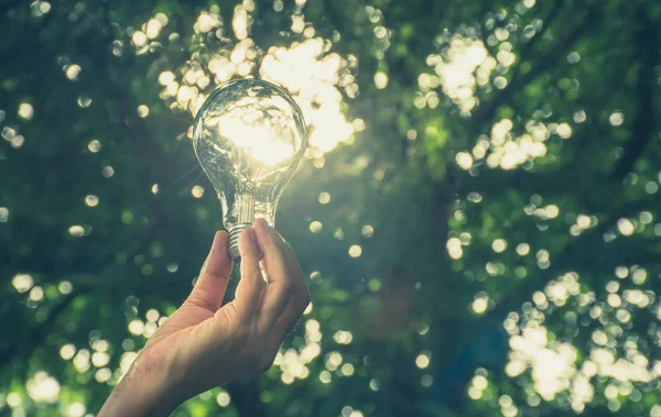Main de la personne tenant l'ampoule pour l'idée ou le succès ou l'énergie solaire — Photo