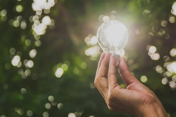 Hand av person som innehar glödlampa för tanken eller framgång eller solenergi — Stockfoto