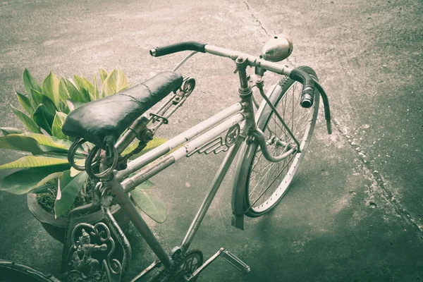 Stary zardzewiały rower w pobliżu puli rośliny. Stary rower opierając się pot. — Zdjęcie stockowe