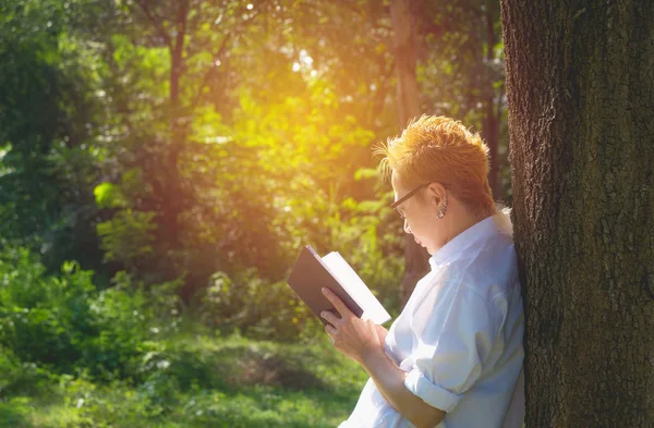 kadın bir kitap okuma dinlenme sahiptir. Kadın el için bir kitap okuyun. Dinlenme ve konfor kavramları.