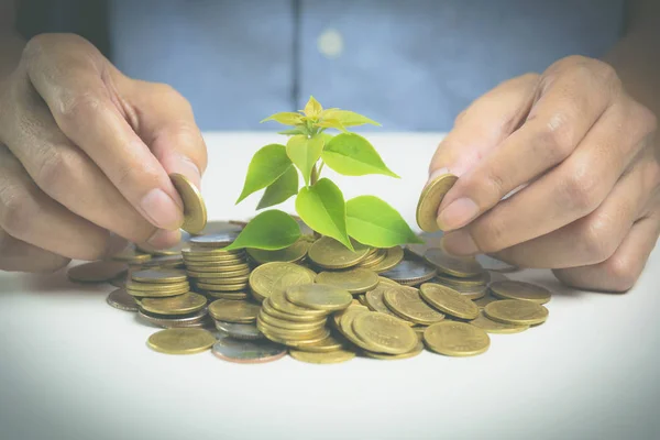 Concepto de árbol del dinero que crece del dinero. Concepto financiero y de ahorro. — Foto de Stock