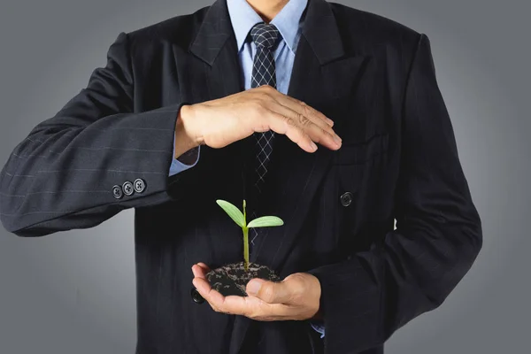 Οικολογία έννοια επιχειρηματίας χέρια κρατώντας και καλύπτοντας το νεαρό φυτό δέντρο. Φυτό δέντρο μεγαλώνει στο χέρι του επιχειρηματία. Οικονομική ανάπτυξη έννοιας ιδέες. — Φωτογραφία Αρχείου