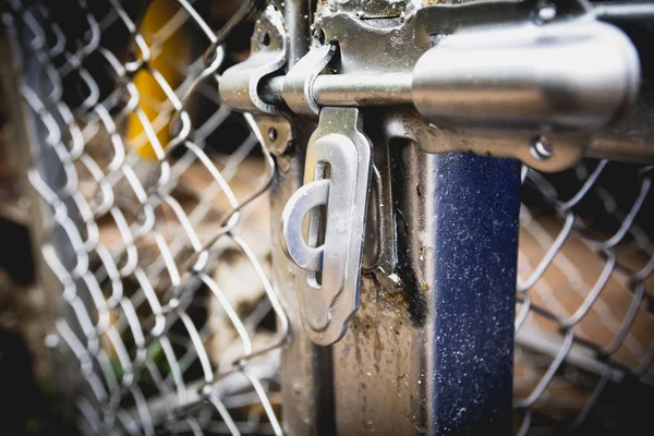 Dörrlås med en gammal metall staket netto dörr. — Stockfoto