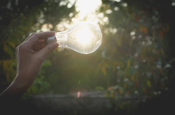 Main de la personne tenant l'ampoule pour l'idée ou le succès ou l'énergie solaire — Photo