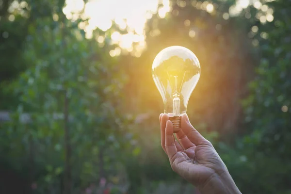 Hand einer Person mit Glühbirne für Idee und Kreativität, Erfolg, Solarenergiekonzept. — Stockfoto