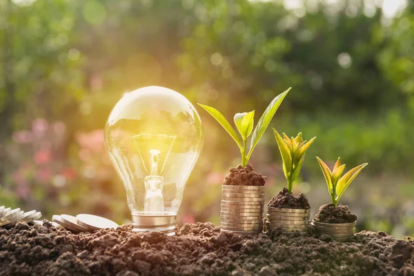 Bombilla de ahorro de energía y el crecimiento de árboles en pilas de monedas en el fondo de la naturaleza. Ahorro, contabilidad y concepto financiero . — Foto de Stock