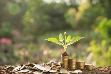 Para biriktirme kavramı ile para yığını iş ve muhasebe kavramı için büyüyor.