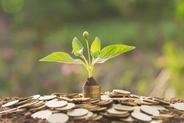 Concept d'économie d'argent avec pile de pièces de monnaie croissante pour le concept d'affaires et de comptabilité. — Photo