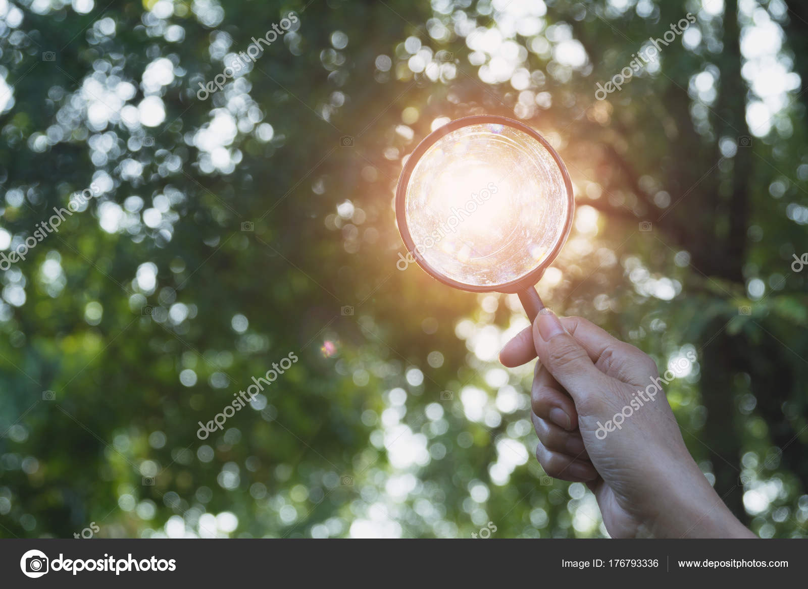 [最新] 虫眼鏡 太陽 290636虫眼鏡 太陽光