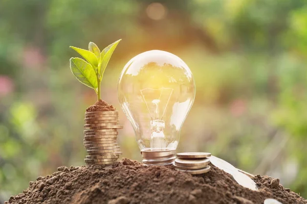 Energy saving light bulb and tree growing on stacks of coins on nature background. Saving, accounting and financial concept. — Stock Photo, Image