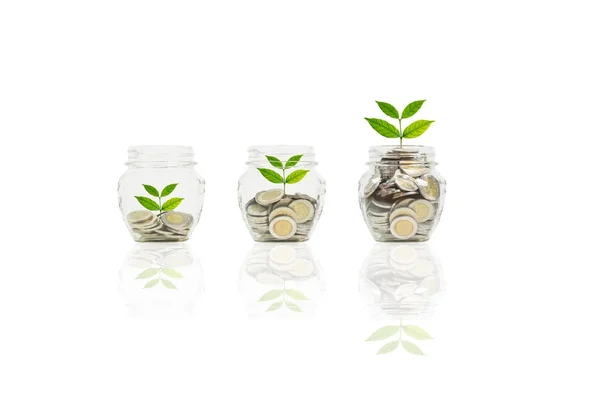 Coins and plant in bottle, Business investment growth and saving concept. Coins in bottle on white background, Business investment growth concept — Stock Photo, Image