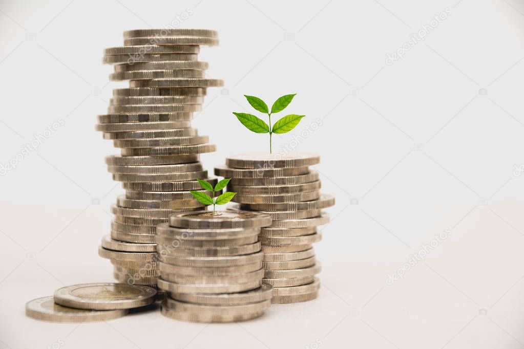 Saving money concept with money coin stack growing for business.