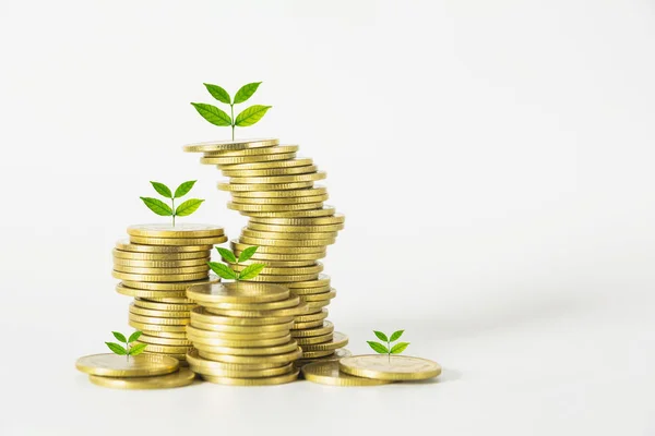 Risparmio di denaro concetto con moneta stack crescente per le imprese. concetto finanziario e contabile. — Foto Stock