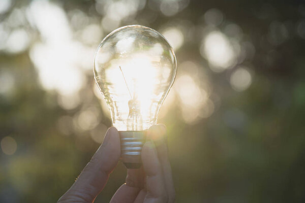 Hand of person holding light bulb for idea or success or solar energy concept.